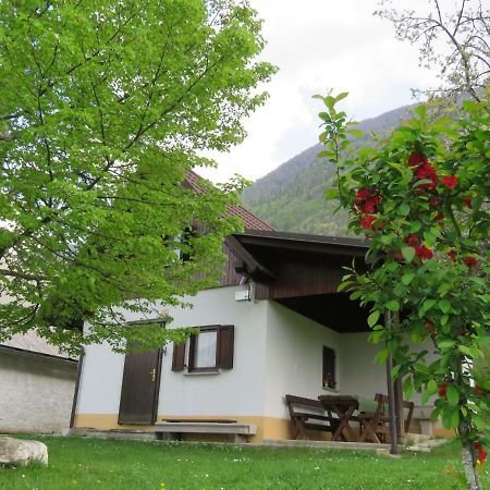 Pocitniska Hiska Jager Cezsoca Villa Exterior photo
