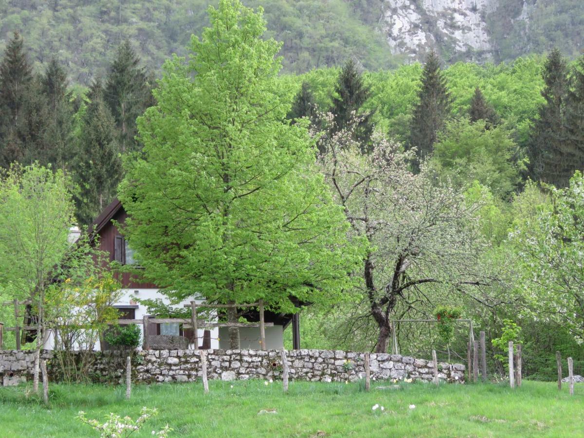 Pocitniska Hiska Jager Cezsoca Villa Exterior photo